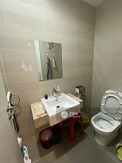 No Image