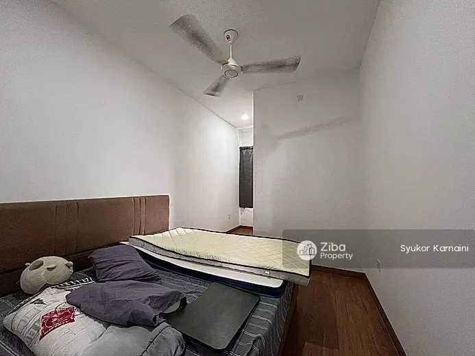 No Image