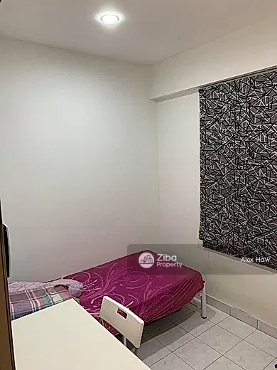 No Image