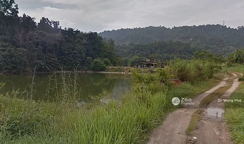 No Image