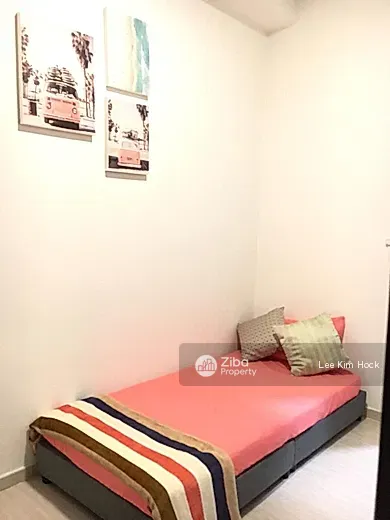 No Image