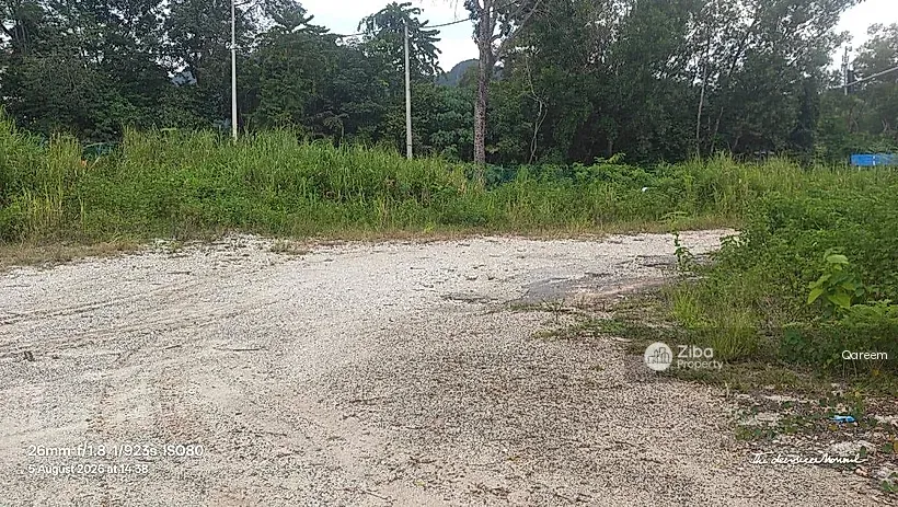 No Image