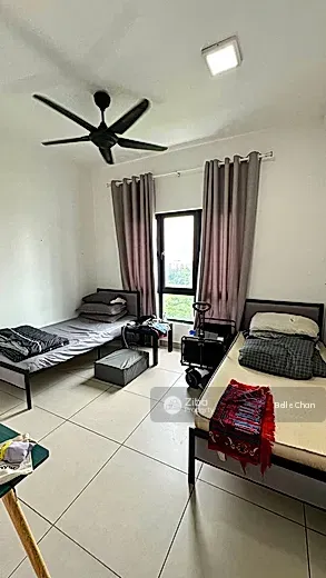 No Image