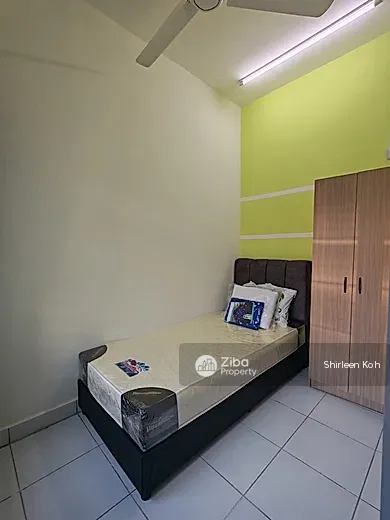 No Image